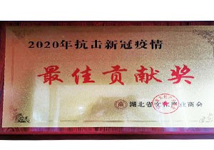 2020年湖北省文化产业商会 2020抗击新冠疫情最具贡献奖